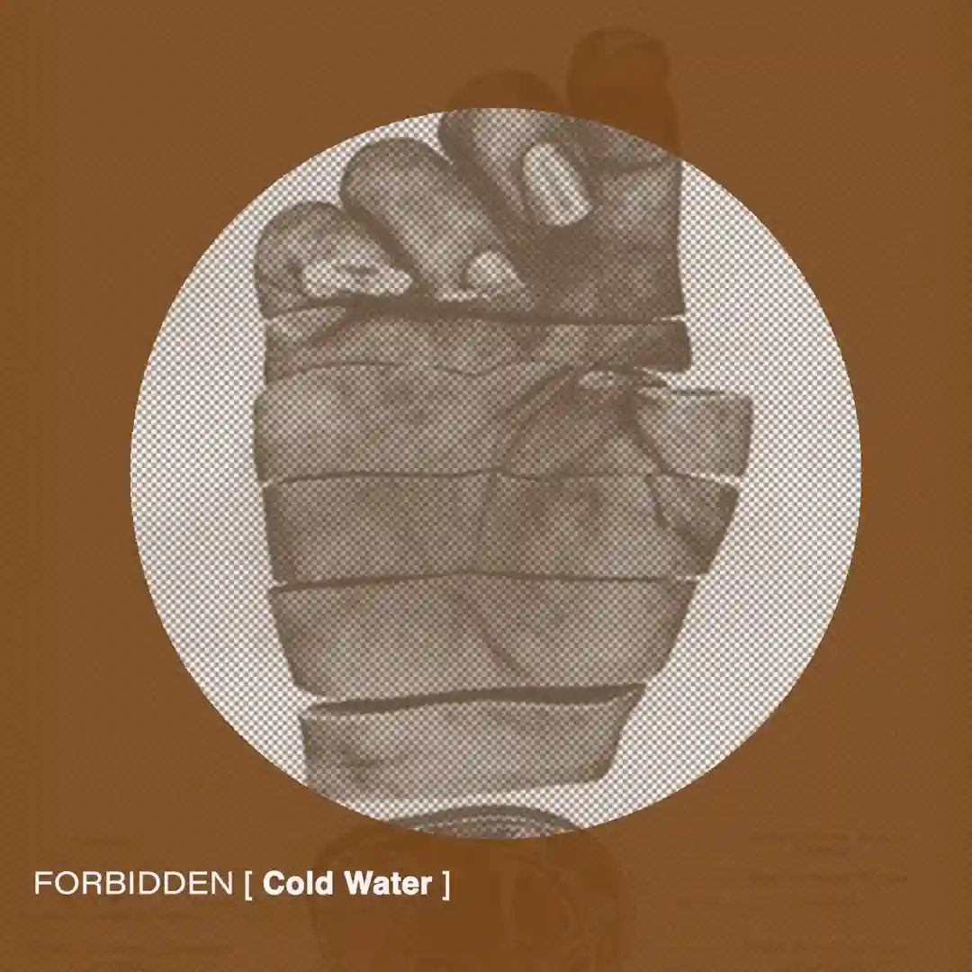 Closed Circle cover