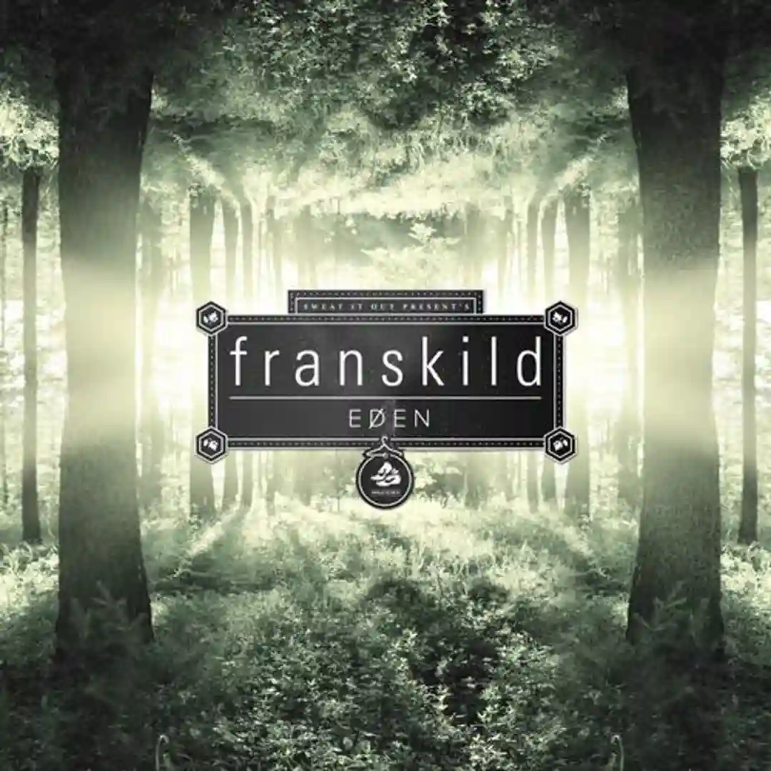 Shards (Original Mix) cover