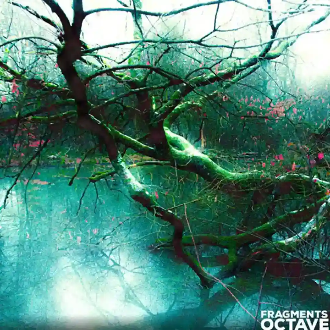 Fragmentsv2 (Original Mix) cover