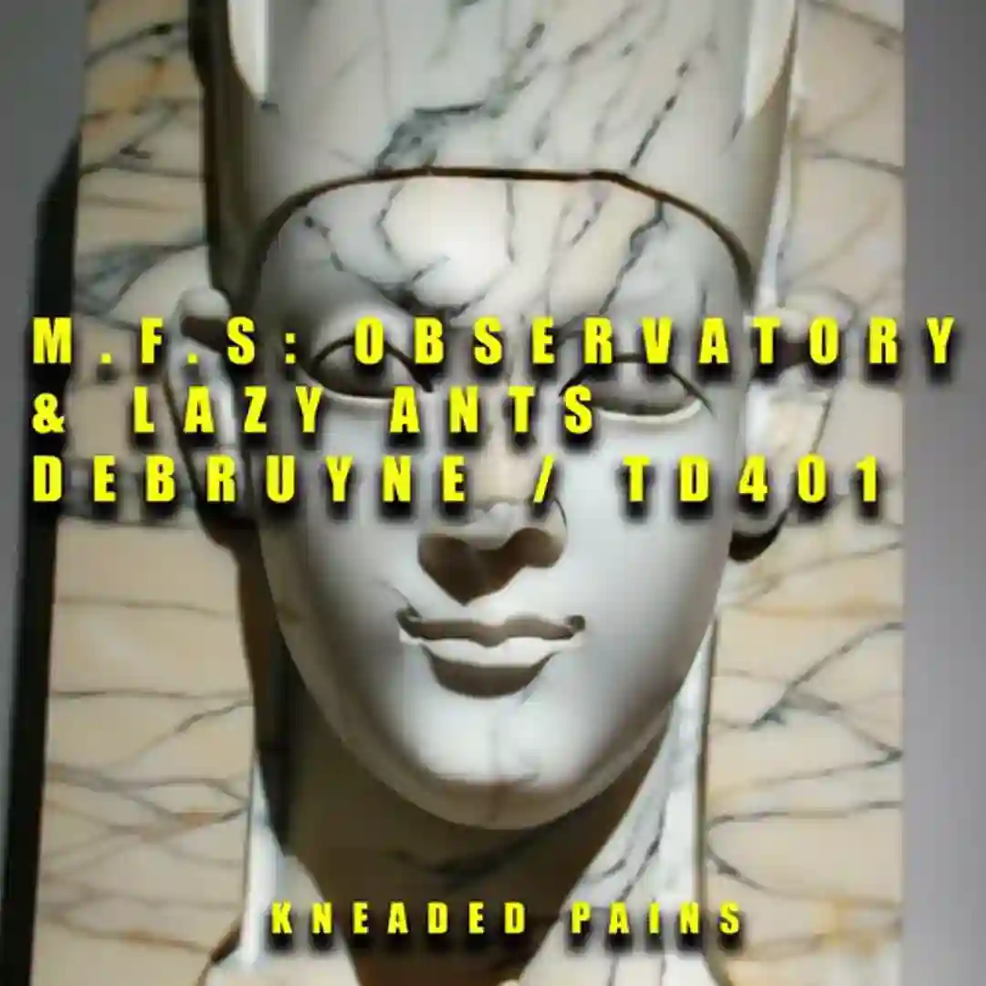DEBRUYNE / TD401 cover