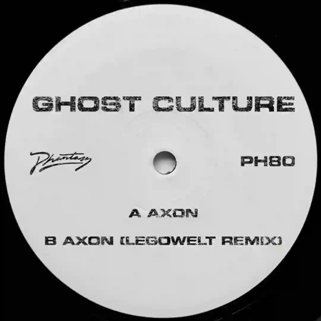 Axon (Original / Legowelt Remix) cover
