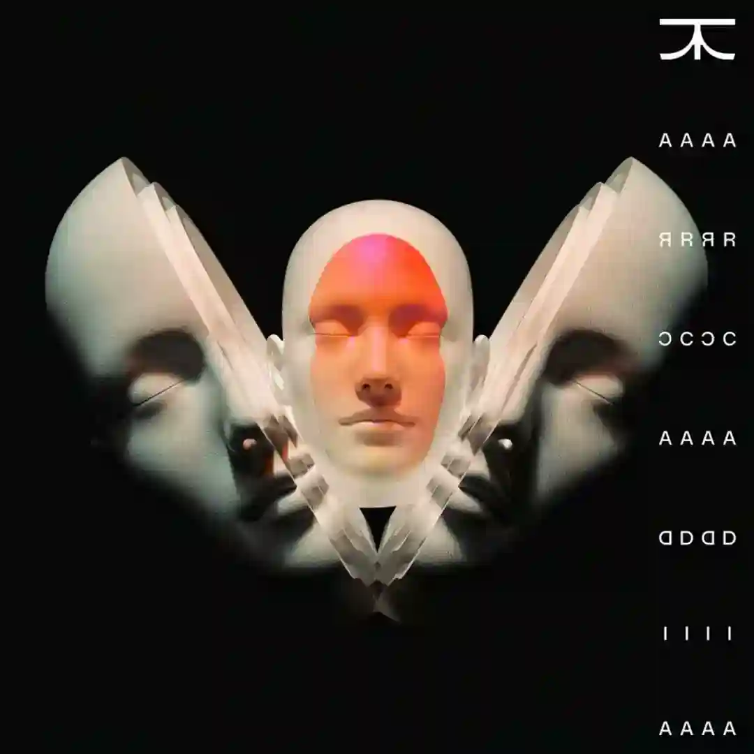 Bandit cover