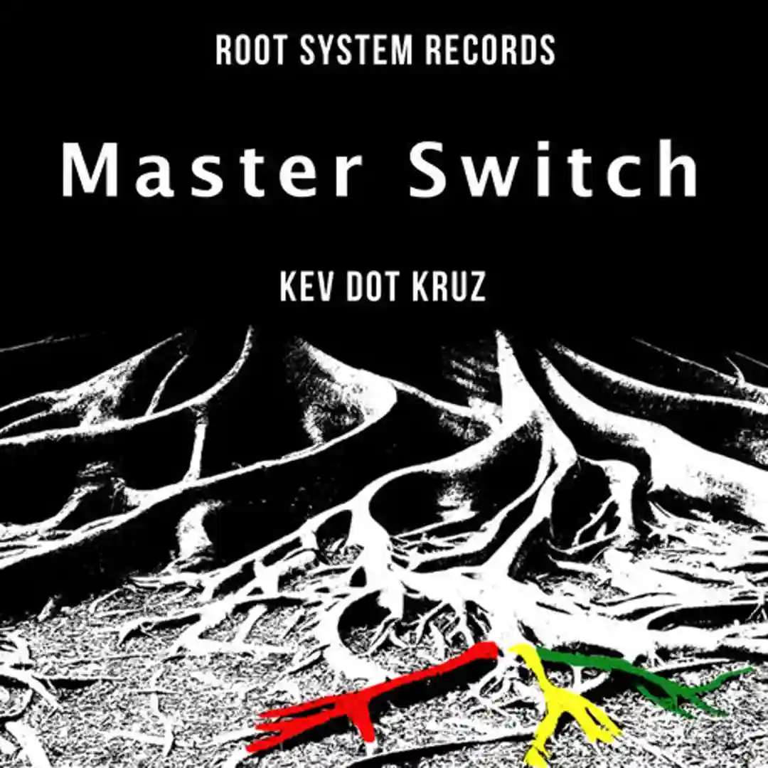 Master Switch cover