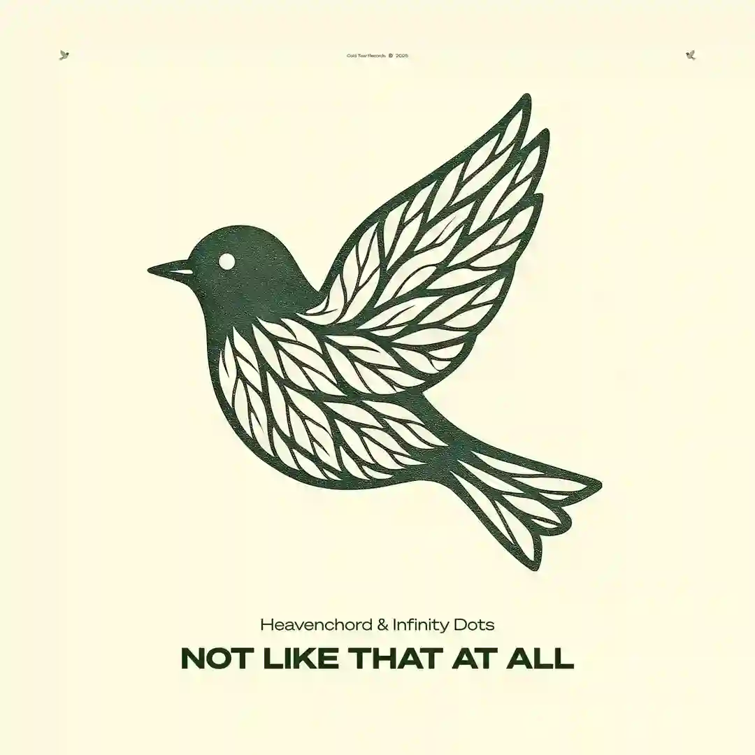 Not Like That at All (First Version) cover
