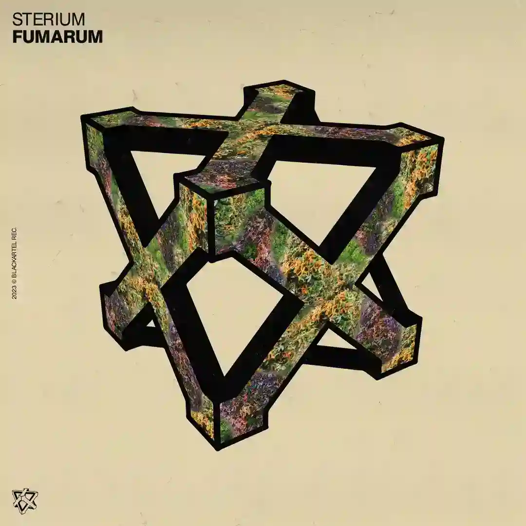 Fumarum (Extended Mix) cover
