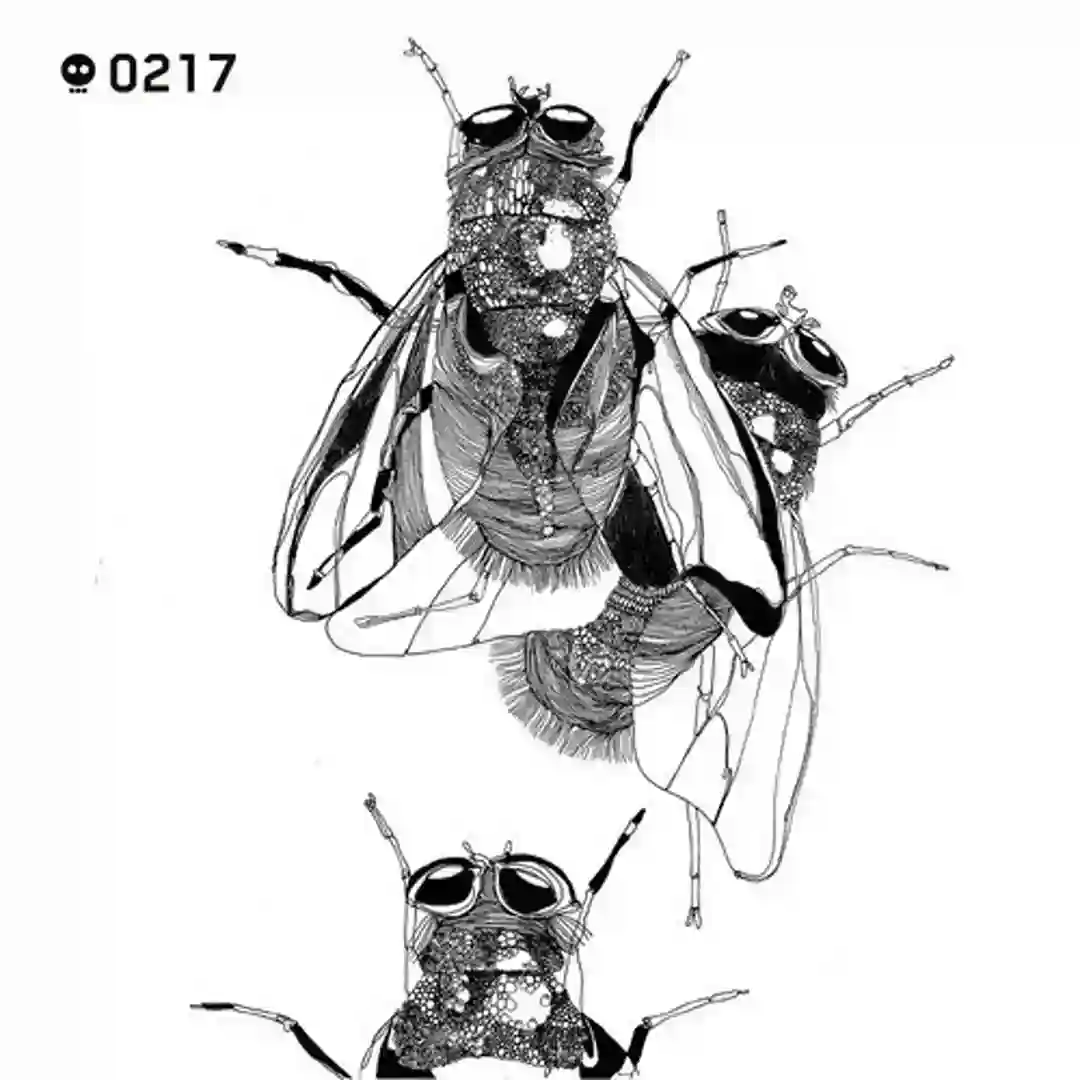 Mod2 (Original Mix) cover