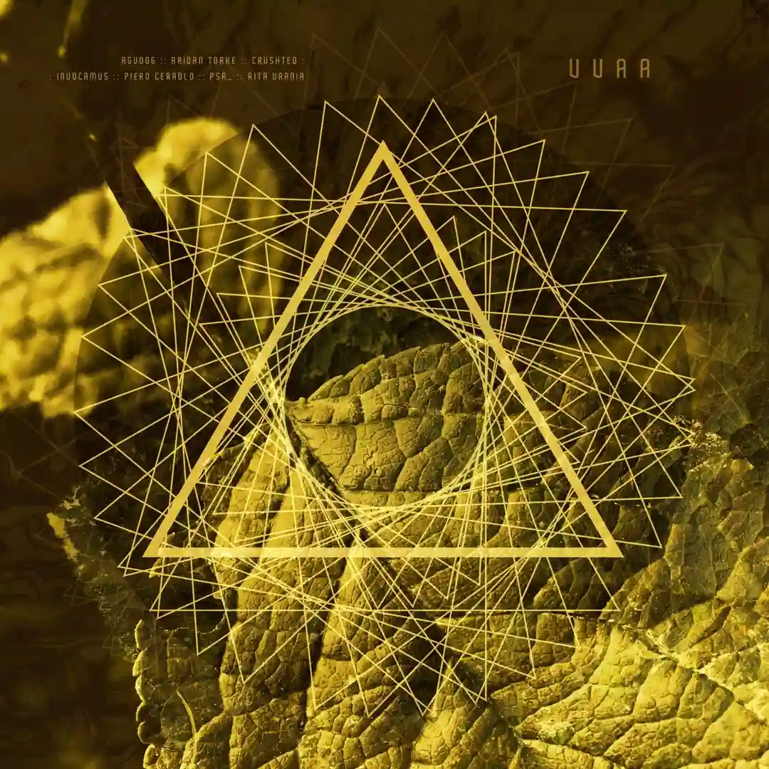 Root 01 (Original Mix) cover