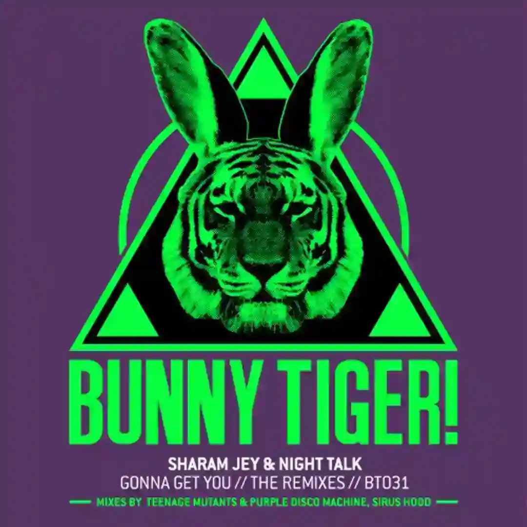 Gonna Get You // The Remixes cover