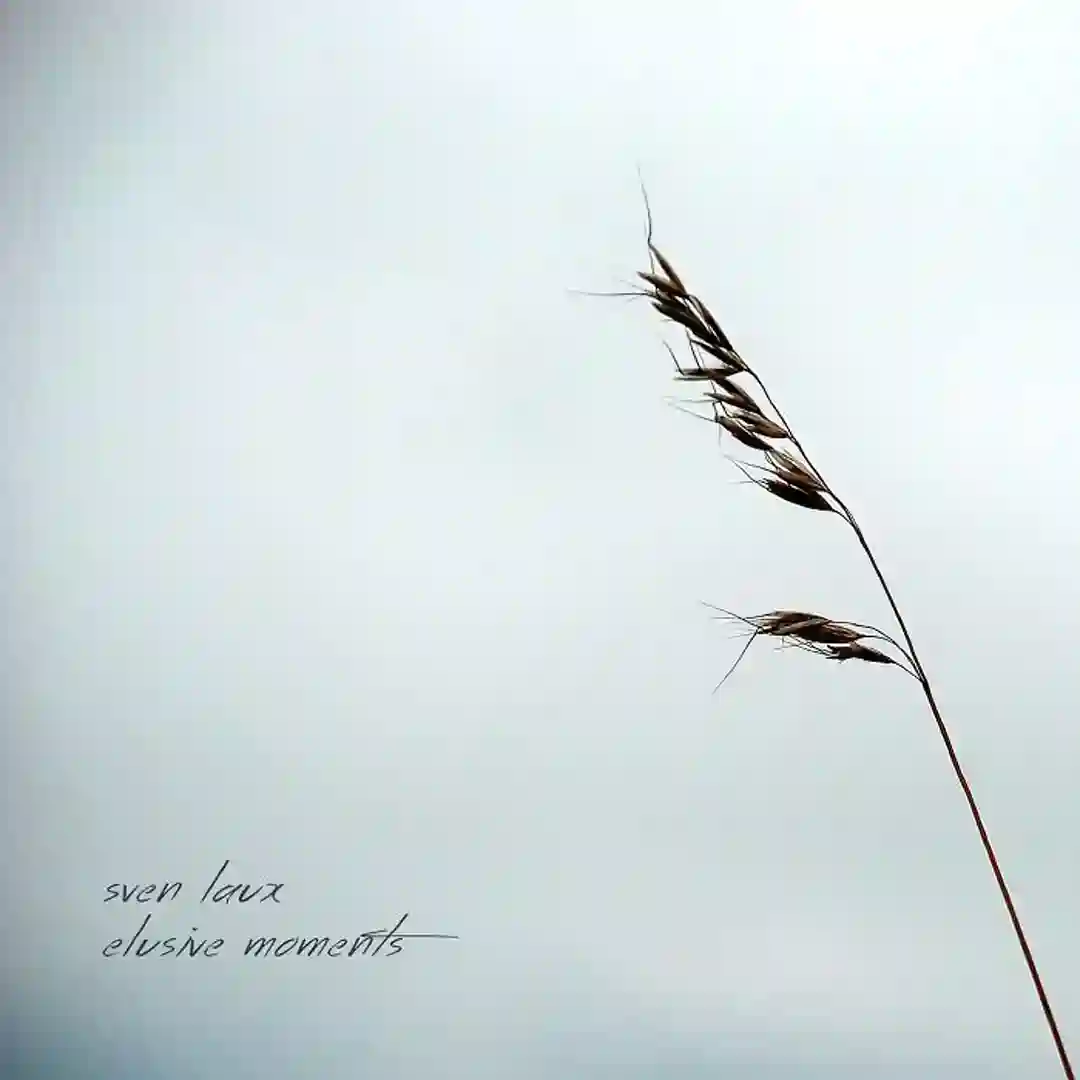 Hovering Between Hope And Reality (Part 1) cover
