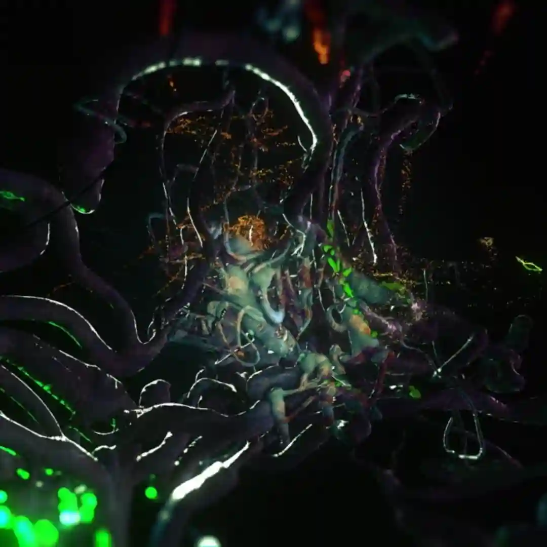 Tarantula (Original Mix) cover