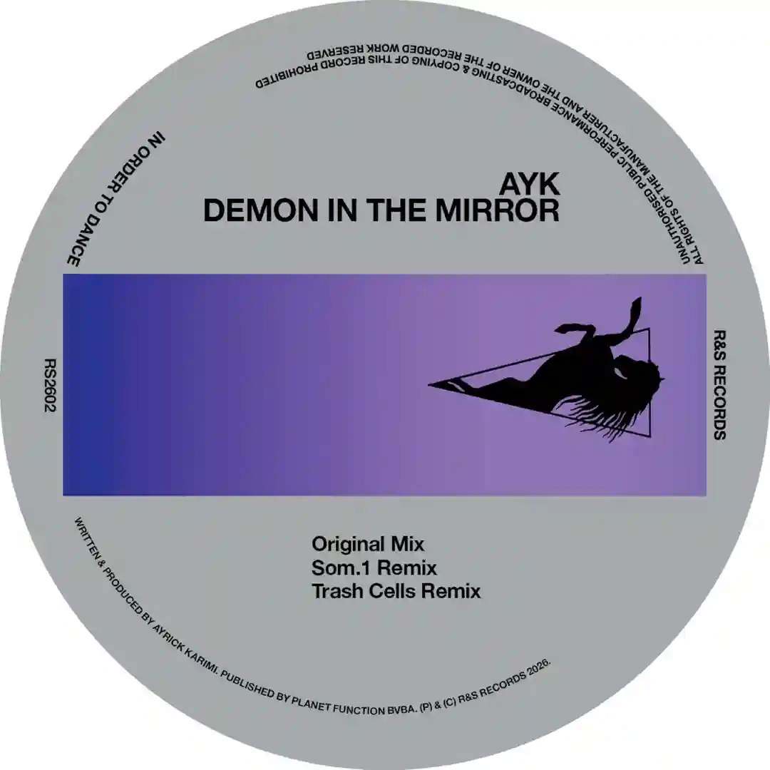 Demon In The Mirror cover