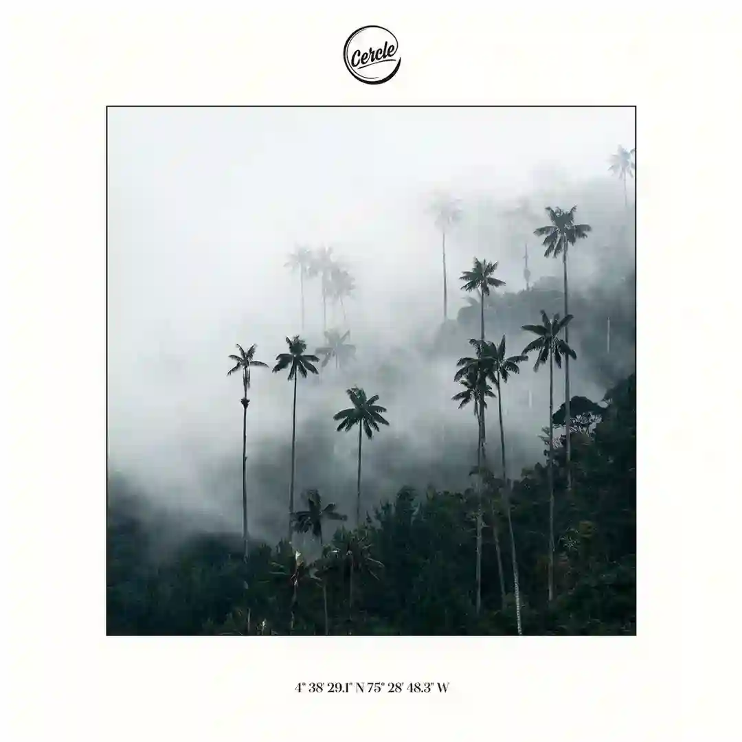 Cocora (A la fuente) (Extended Version) cover