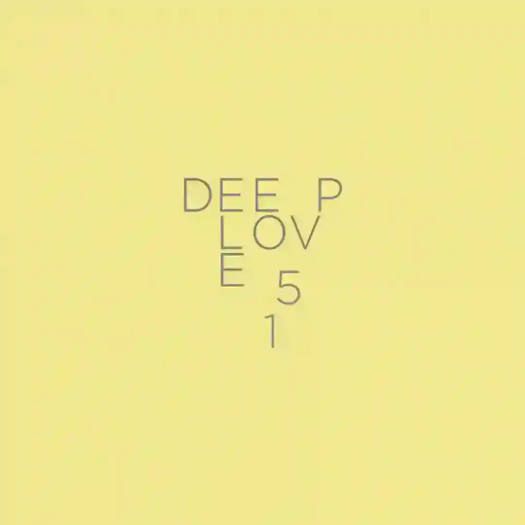 Pleister (Original Mix) cover
