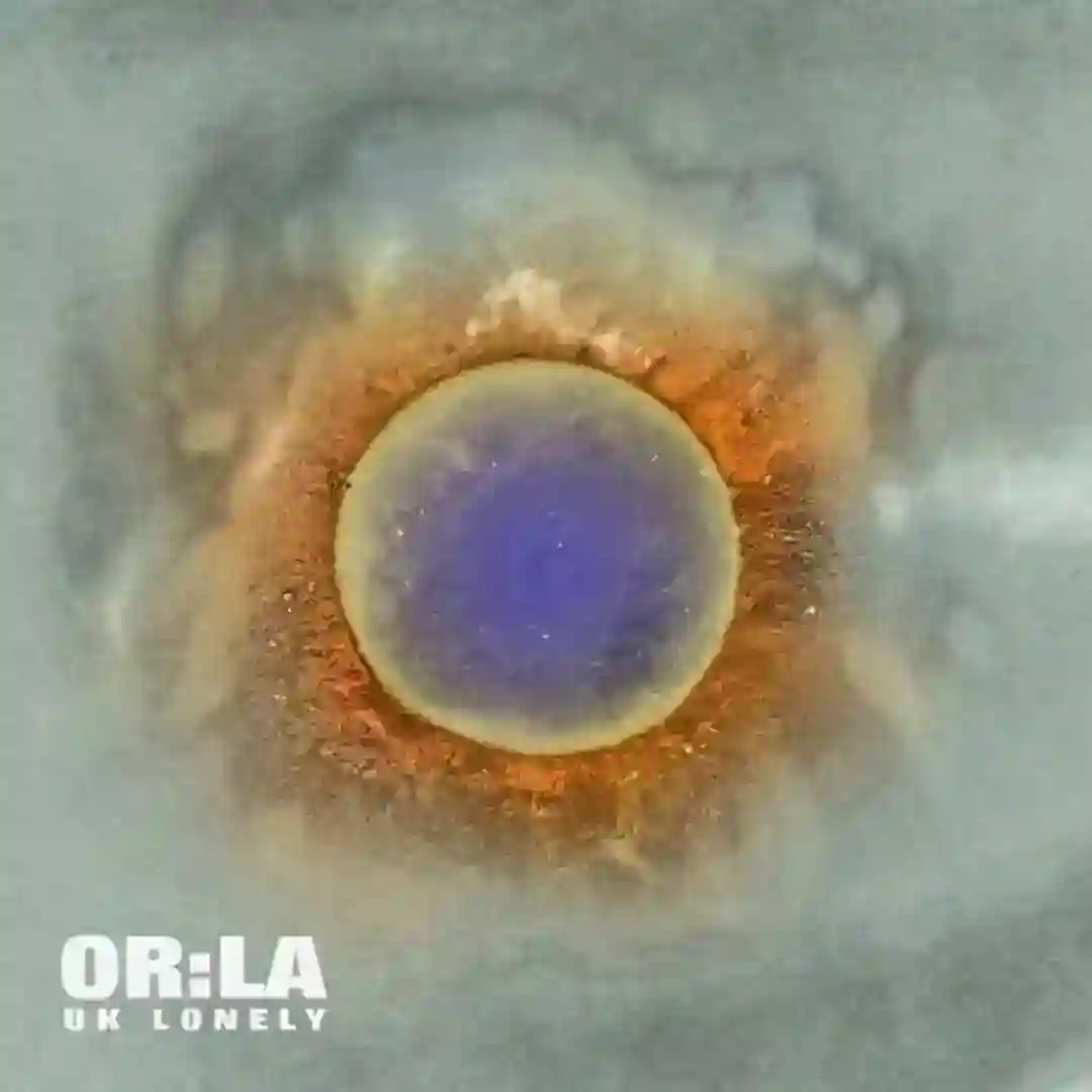 X & O (Original Mix) cover