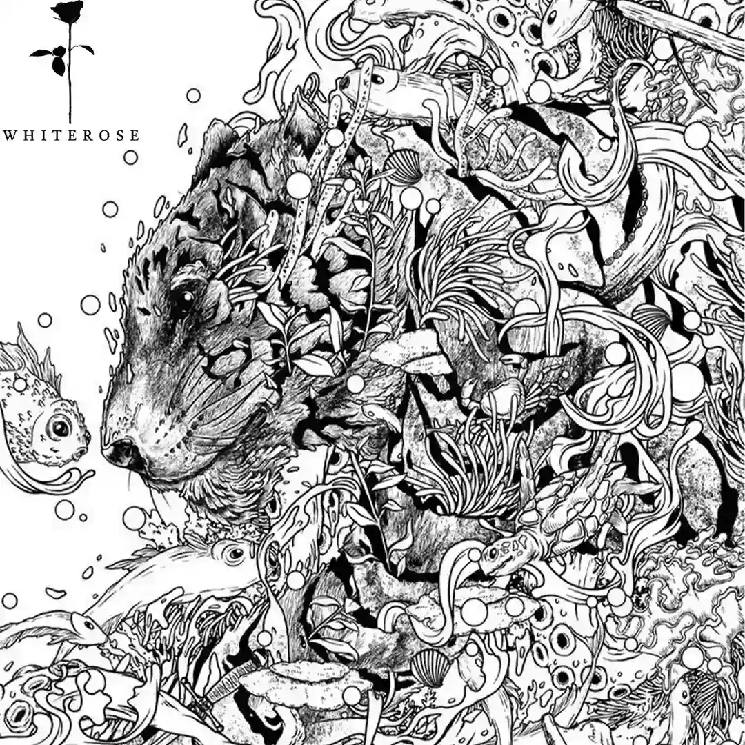 Cadencia (Original Mix) cover