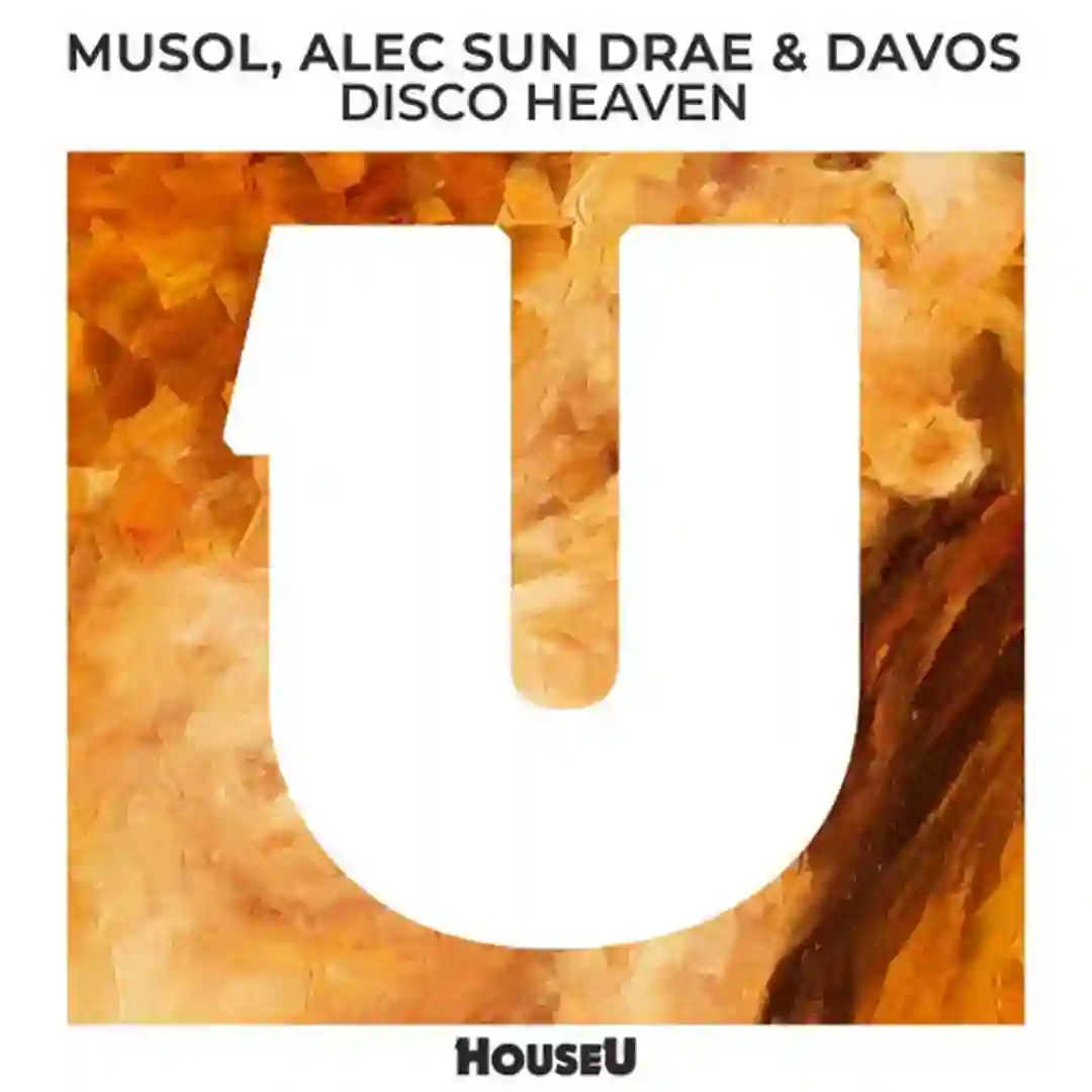 Disco Heaven (Extended Mix) cover