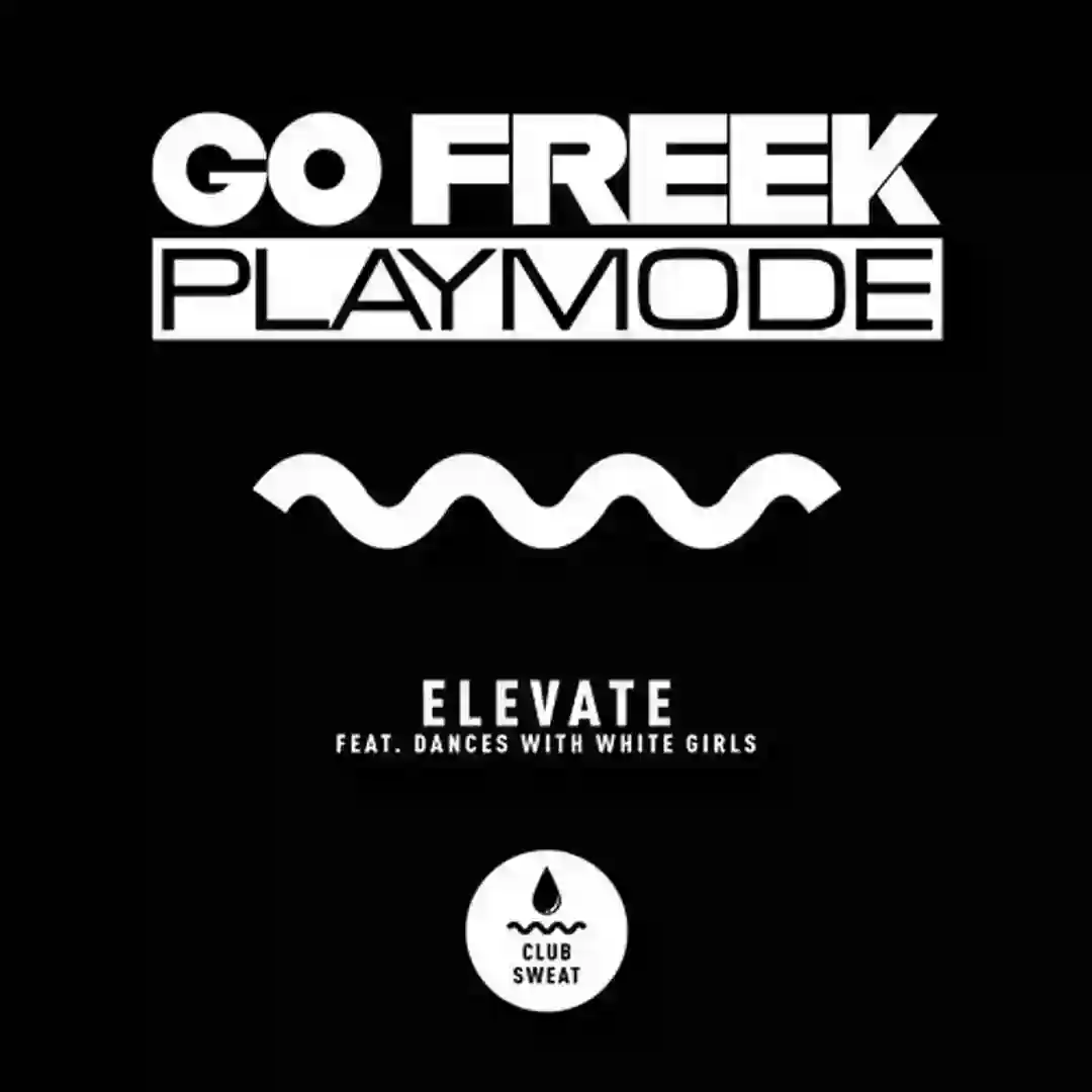 Elevate feat. Dances With White Girls (Extended Mix) cover