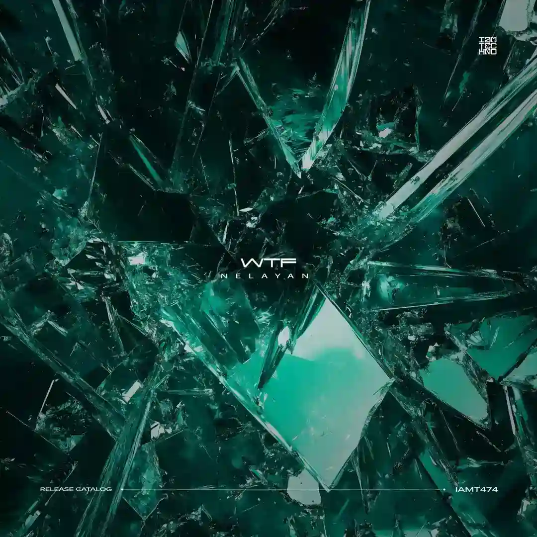 Wtf (Original Mix) cover