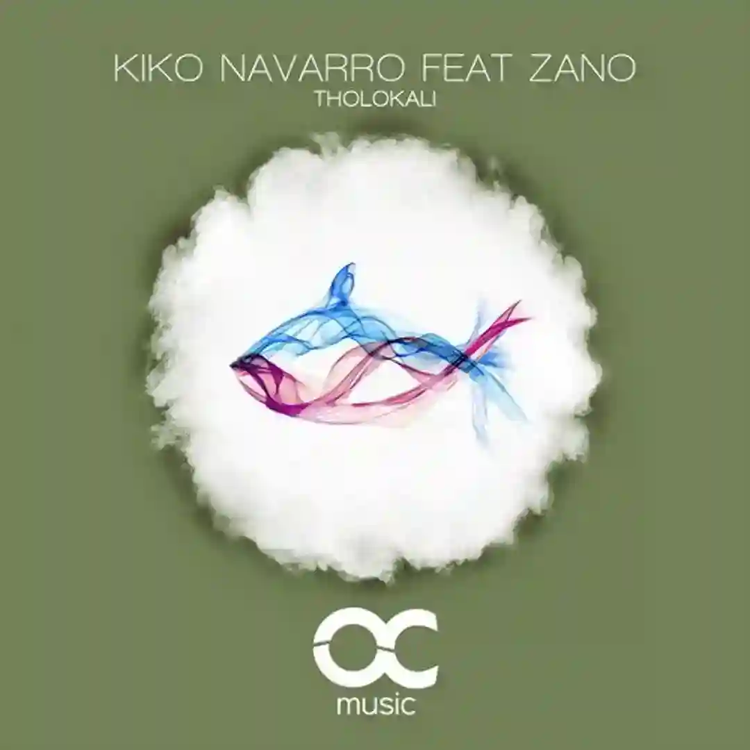 Tholokali feat. Zano (Radio Edit) cover