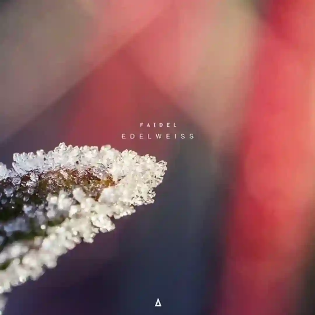 IS_17e (Original Mix) cover