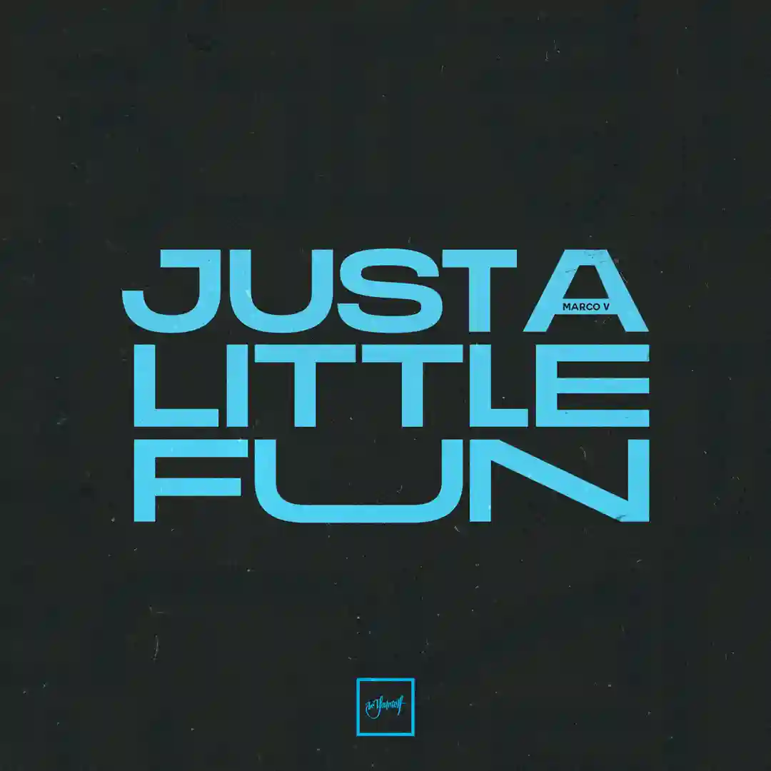 Just A Little Fun (Extended Mix) cover