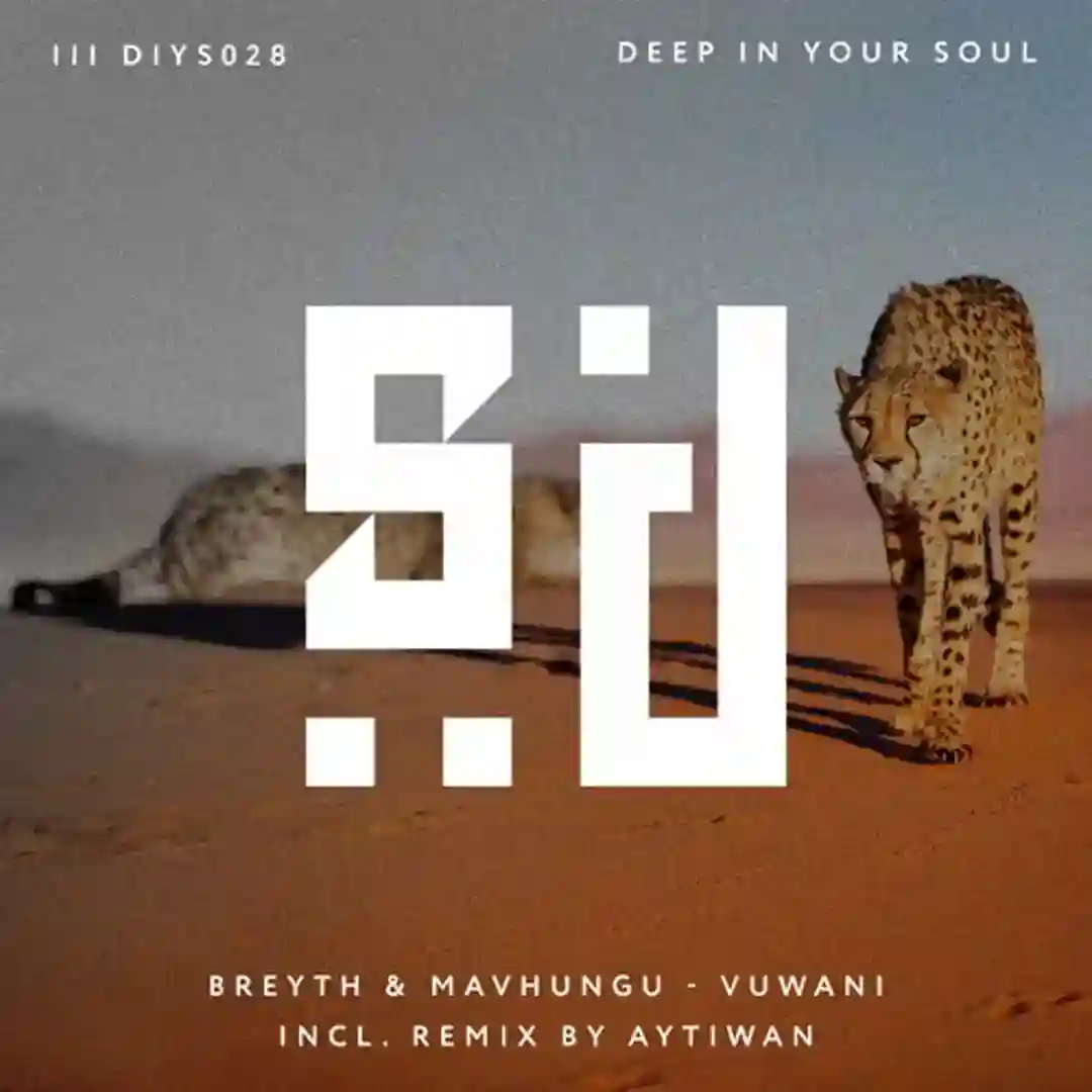 Vuwani (Original Mix) cover