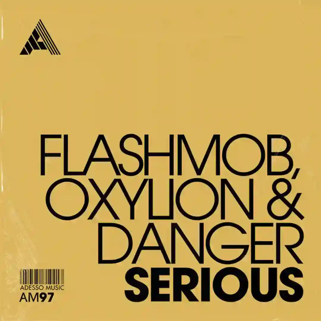 Serious (Extended Mix) cover