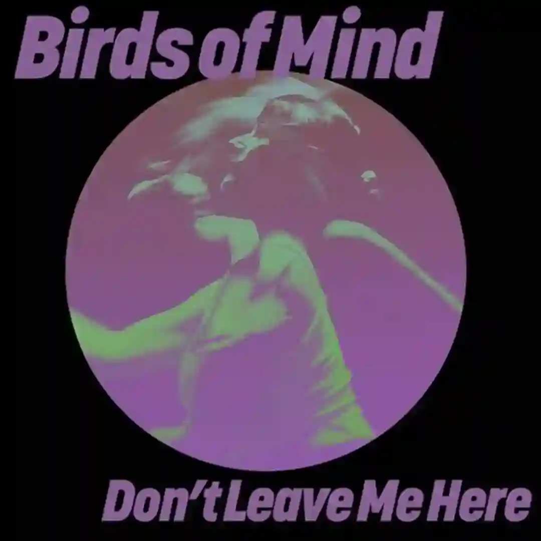 Don't Leave Me Here cover