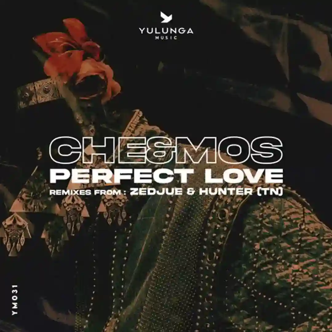 Perfect Love (Original Mix) cover