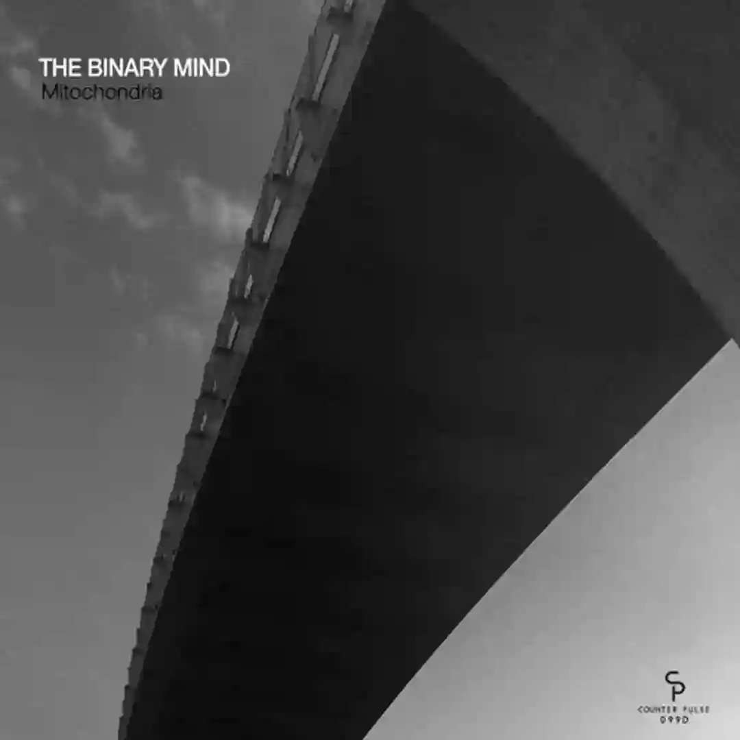 Dinitrophenol (Original Mix) cover