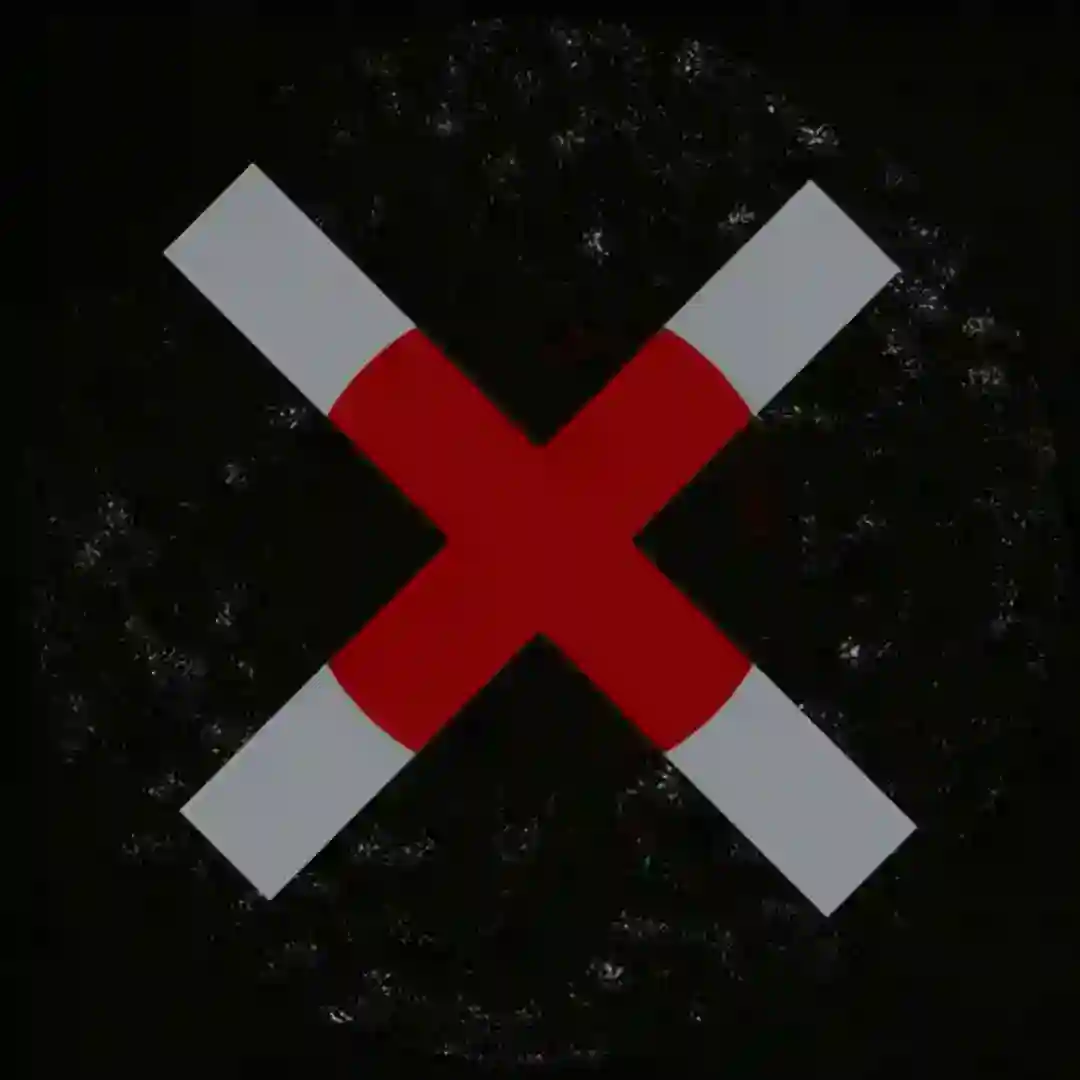 Ds4br cover
