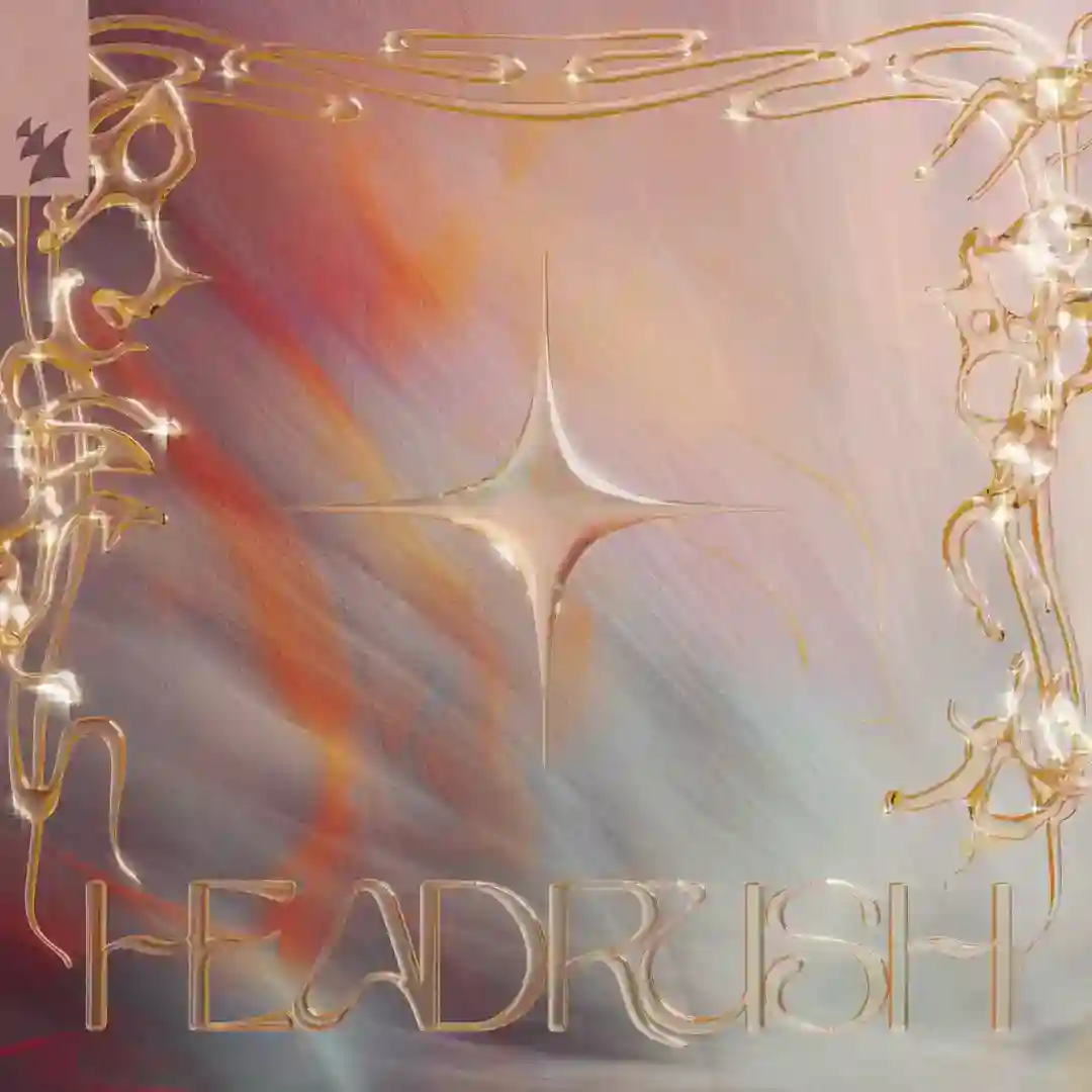 Headrush cover