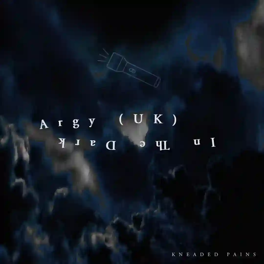 In The Dark cover