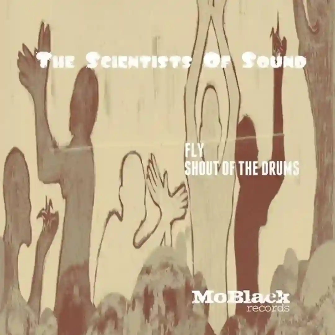Fly (Original Mix) cover