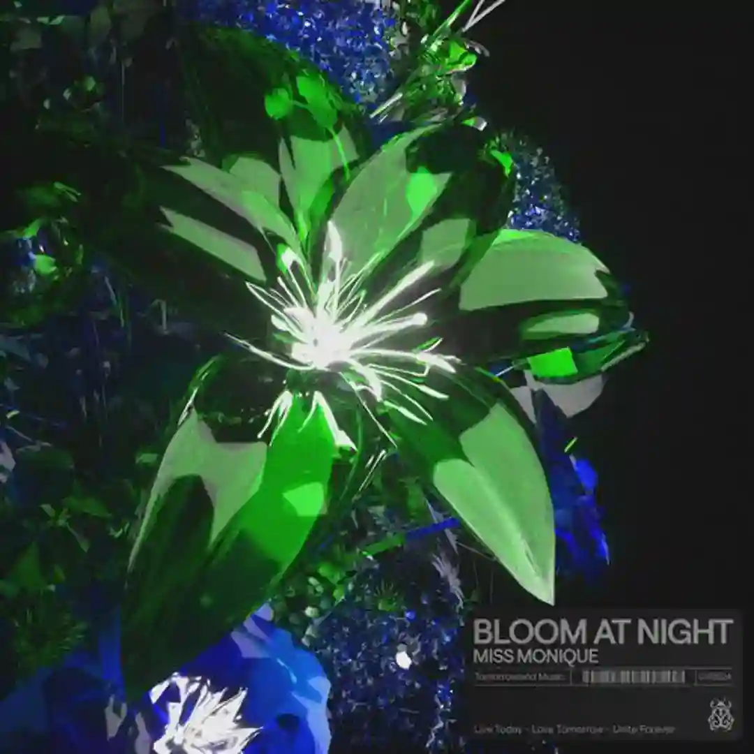 Bloom At Night cover