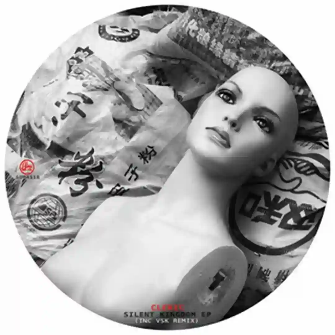 Silent Kingdom (VSK Remix) cover
