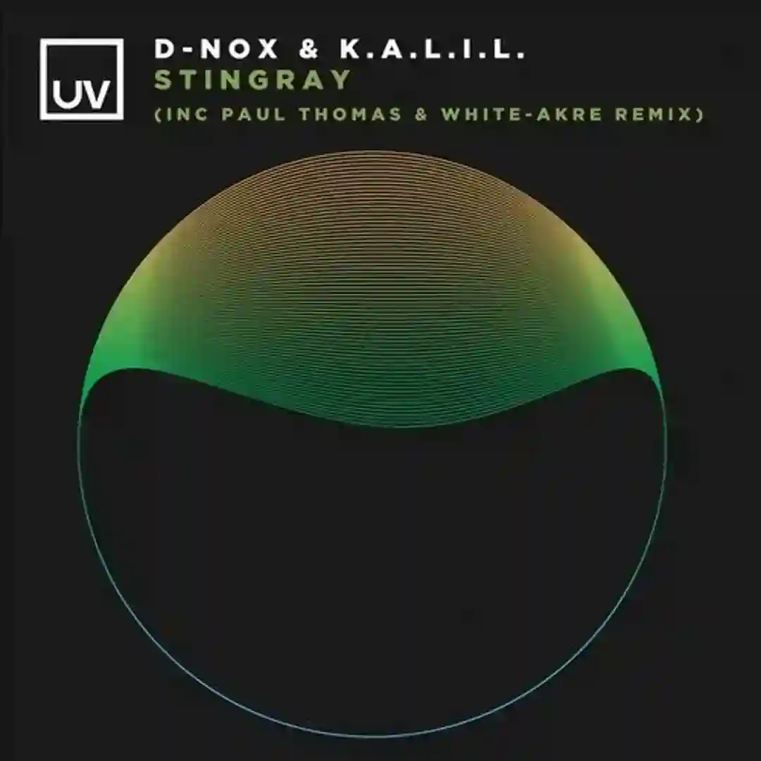 Stingray (Extended Mix) cover
