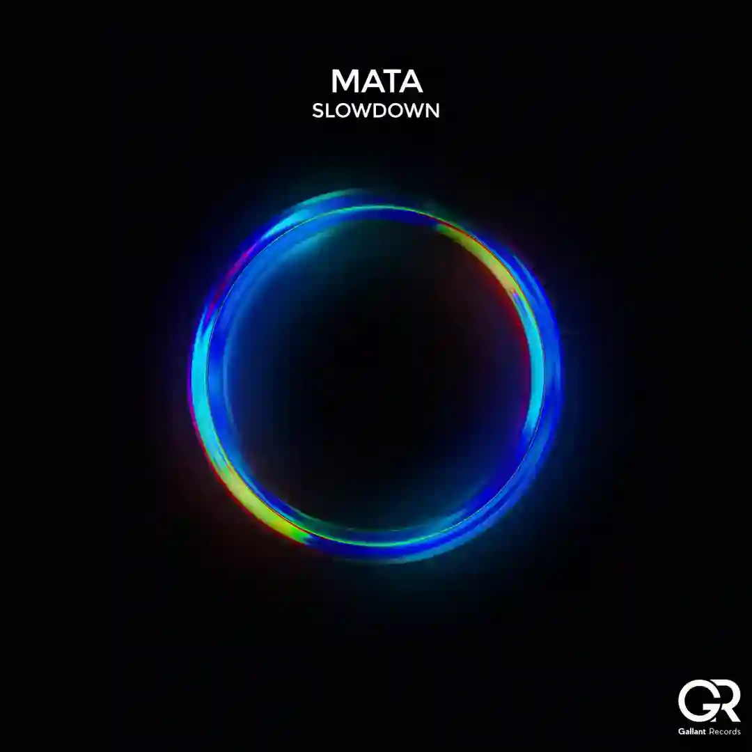 Slowdown (Extended Mix) cover