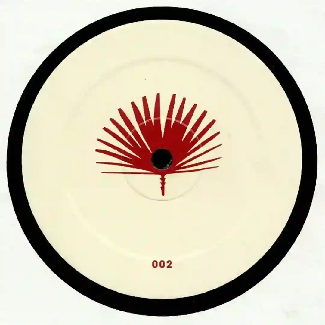 B2 Desert (Iuly B Remix) VINYL ONLY  cover