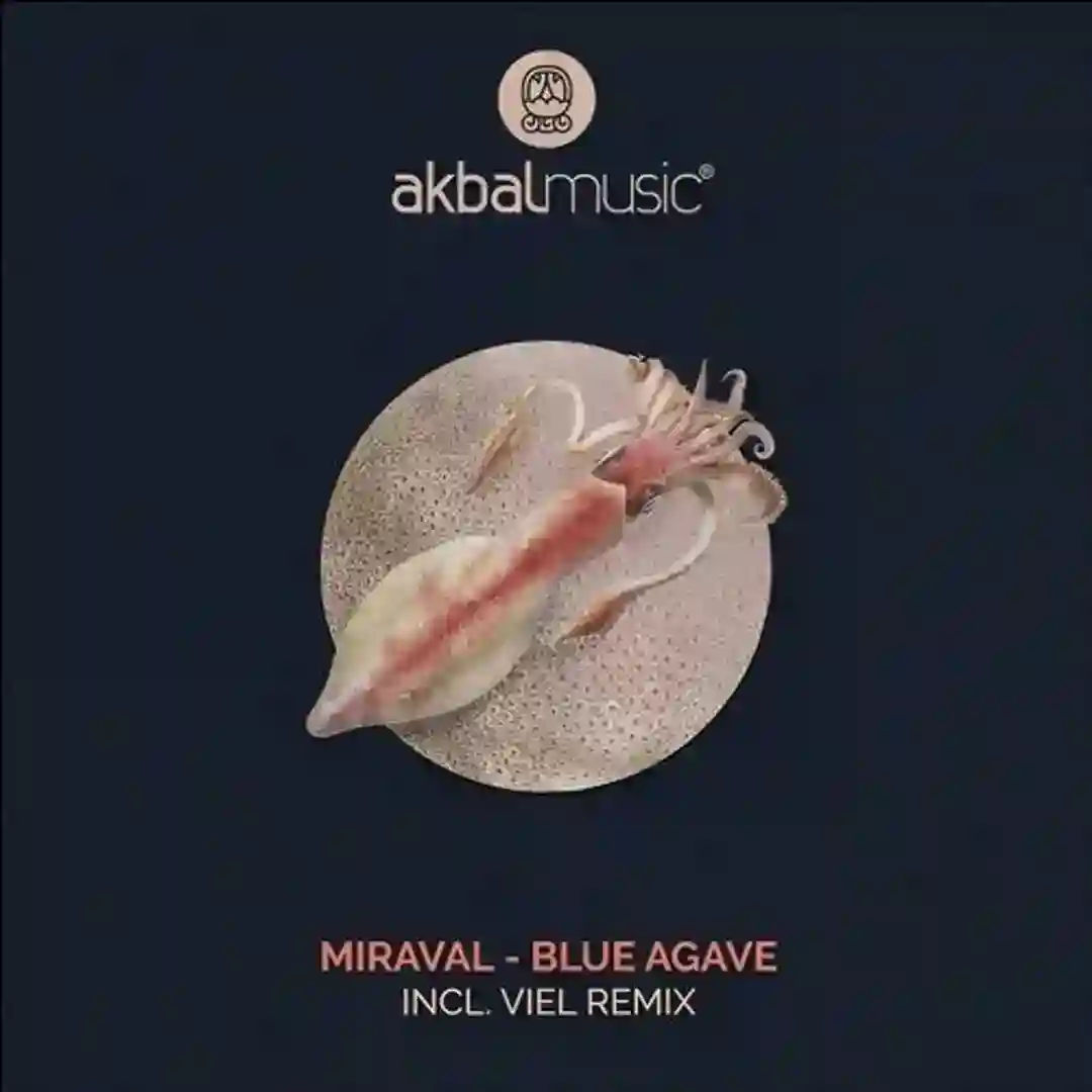 Blue Agave cover