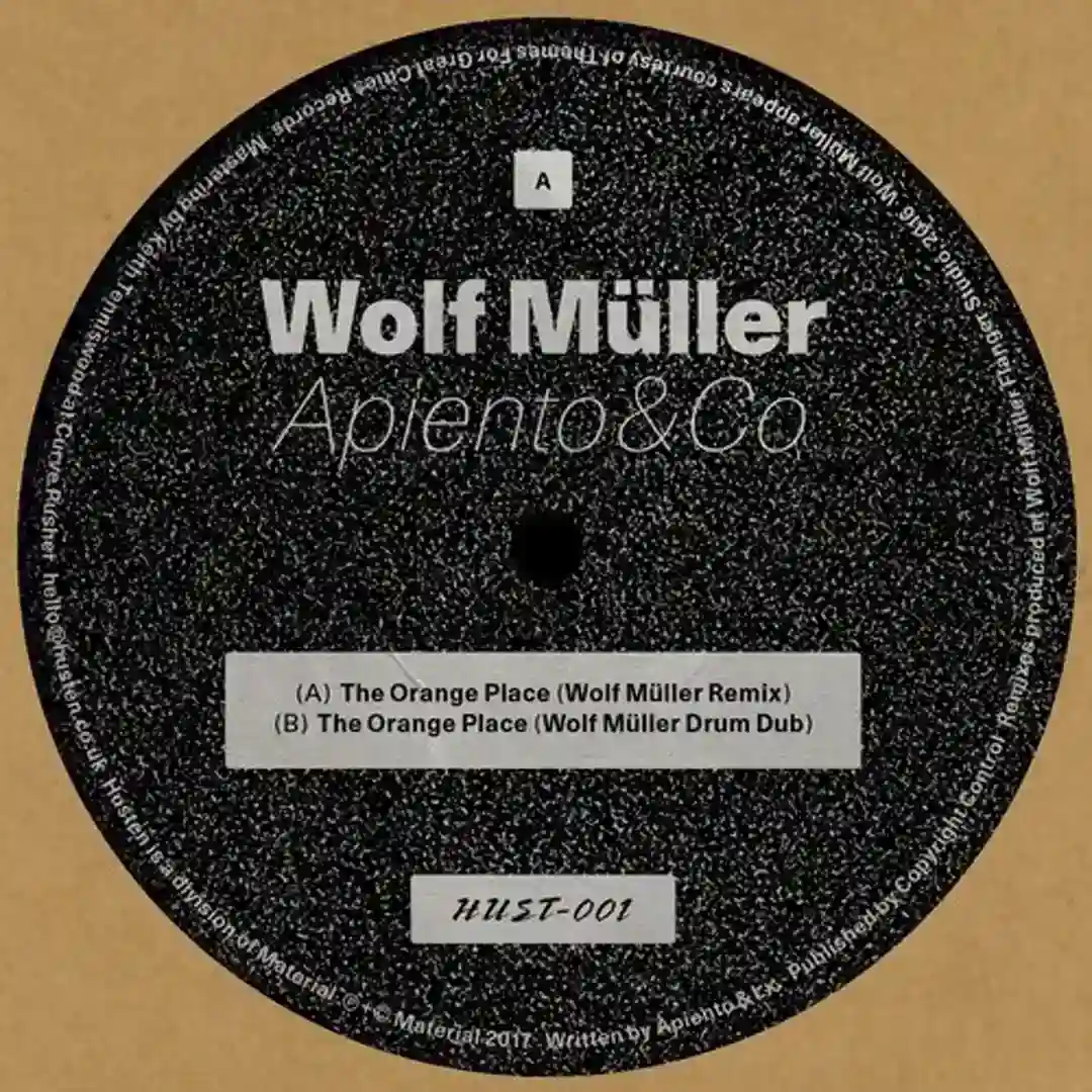 The Orange Place (Wolf Muller Mix) cover