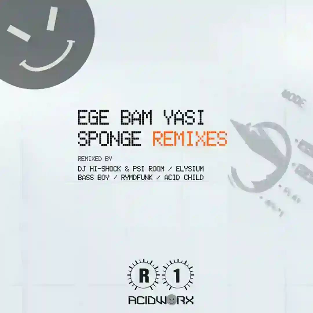 Sponge (BassBoy Remix) cover