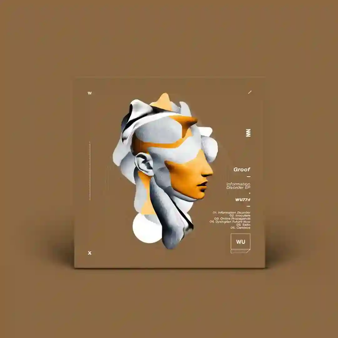Information Disorder (Original mix) cover