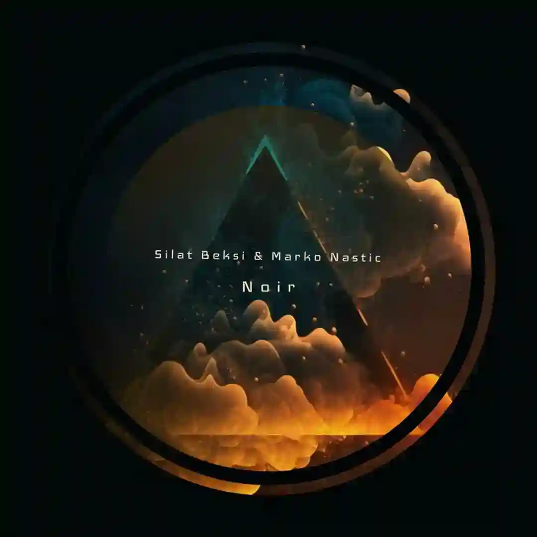 Noir cover