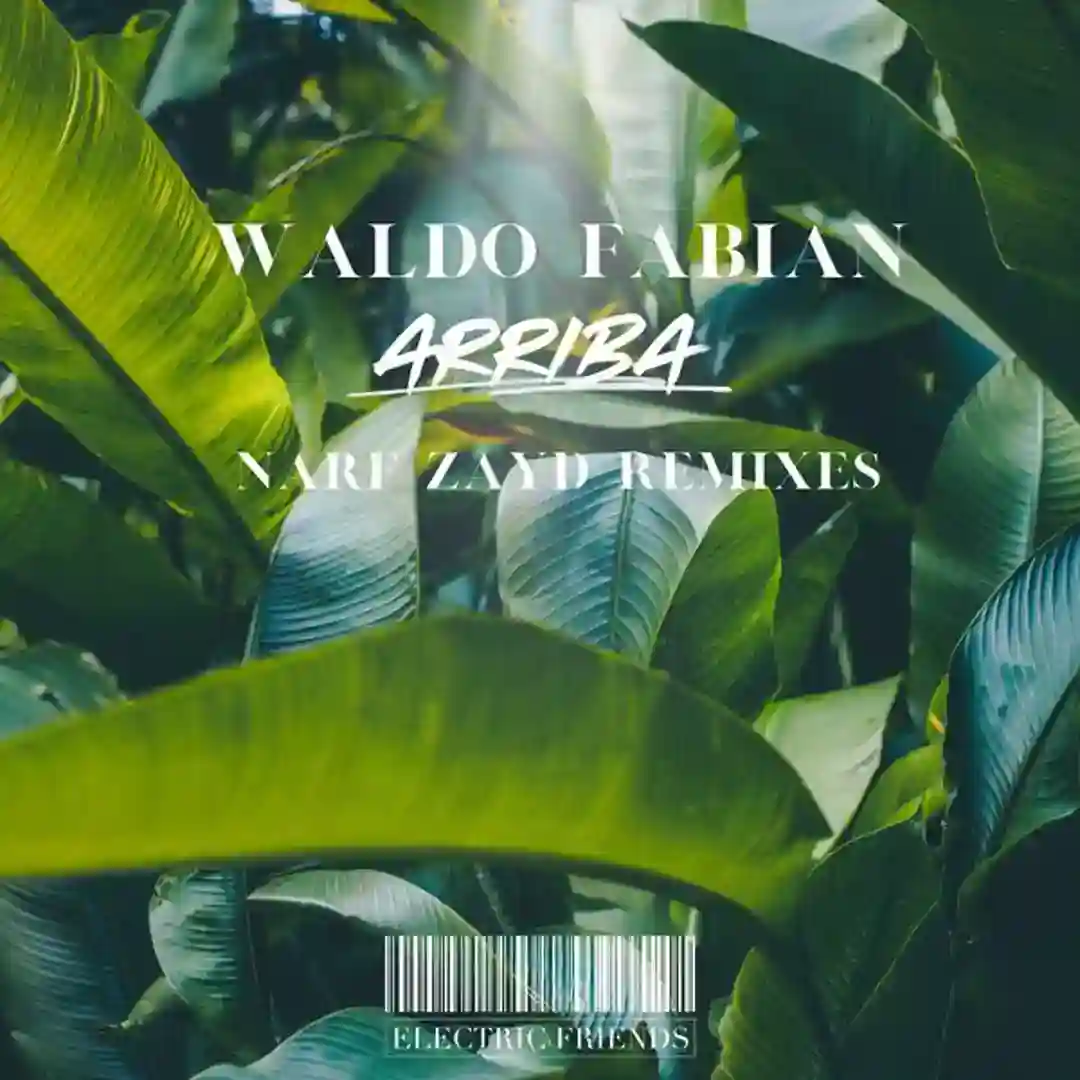 Arriba (Narf Zayd Latin Mix) cover