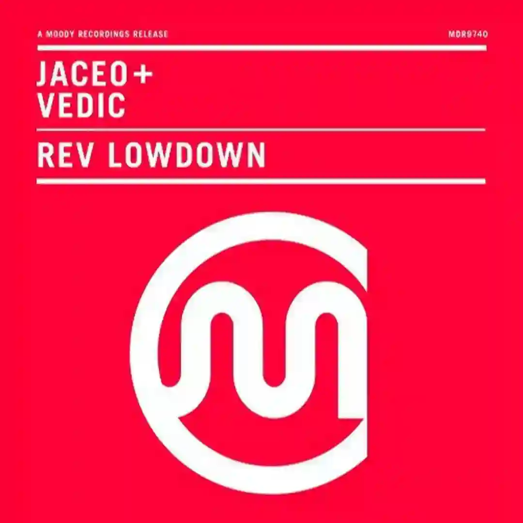 Rev Lowdown (Original Mix) cover