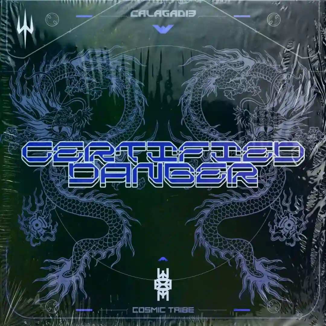 Certified Danger (Instrumental) (Instrumental) cover