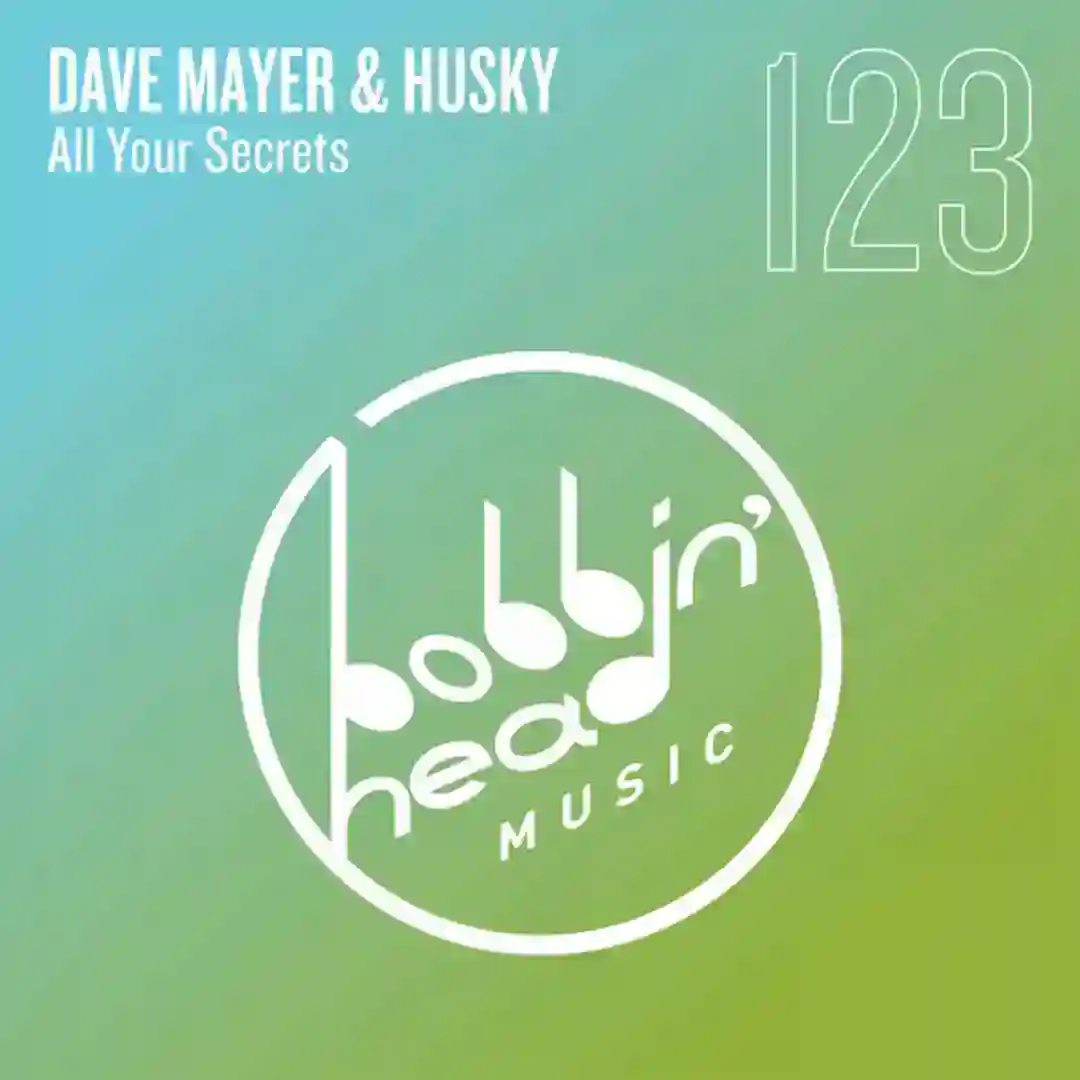All Your Secrets (Husky's Deluxe Extended Mix) cover