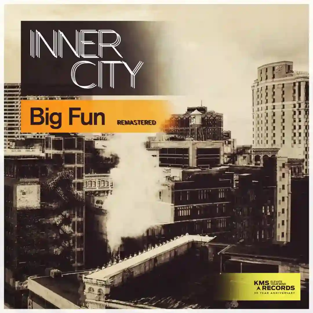 Big Fun (Remastered) cover