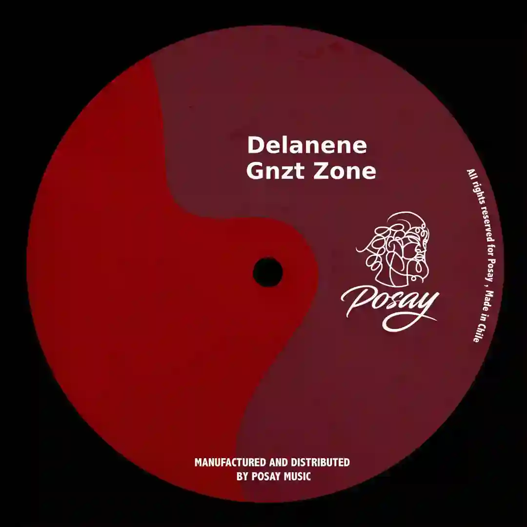 Gnzt Zone cover